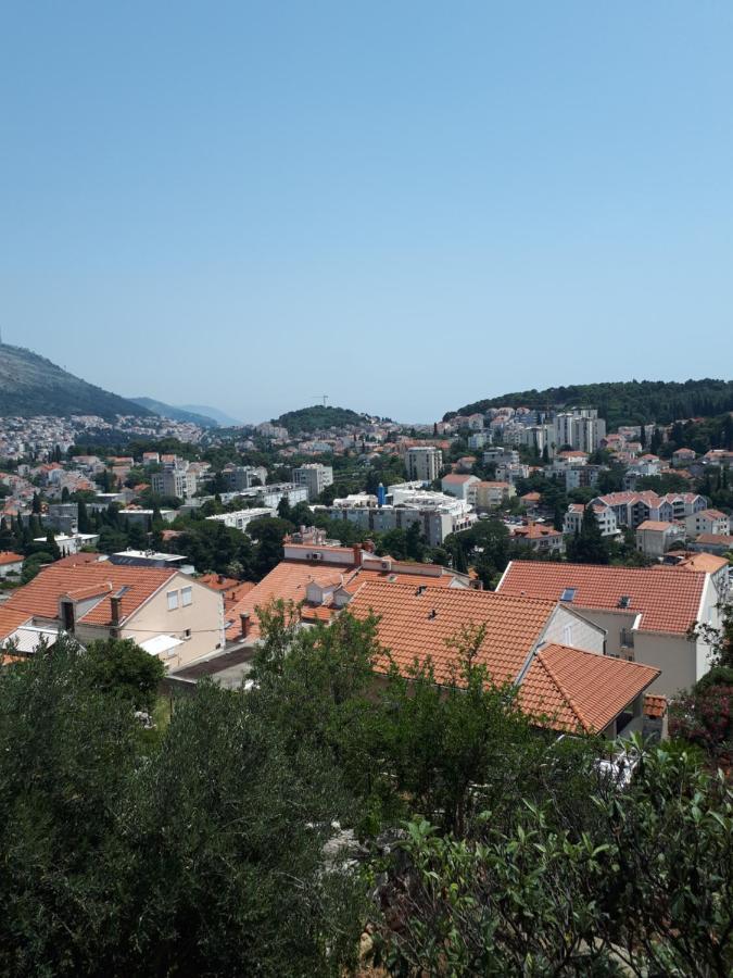 Apartman Maja *